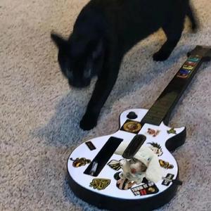 mc外国知名主播stacy plays
