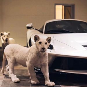 mc外国知名主播stacy plays
