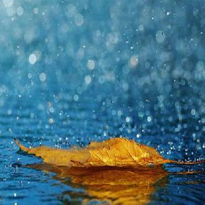 mc外国知名主播stacy plays
