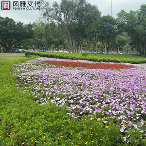 mc外国知名主播stacy plays
